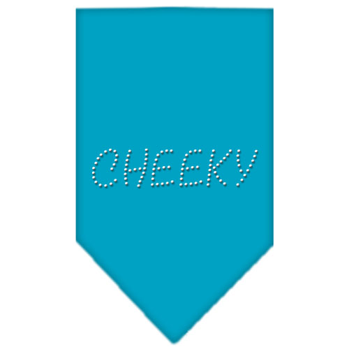 Cheeky Rhinestone Bandana Turquoise Small